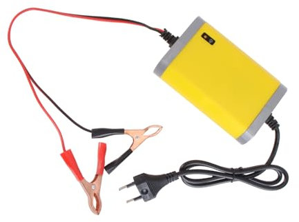 GALPADA Caricabatterie per Auto e con Display LED Caricabatteria per Mantenimento Batteria Multi Protezioni e Rapida Compatibile con Veicoli Elettrici e Elettrici