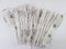 Fuchsia Gall Mite Sachets x20