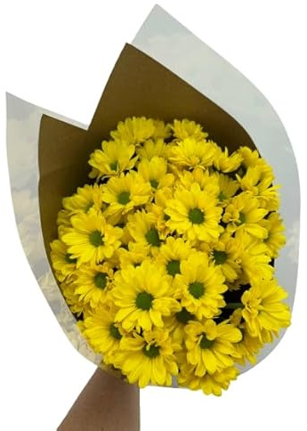 Ramo de Margaritas Amarillas Frescas con 100 Flores de Crisantemo, Perfecto para Aniversarios