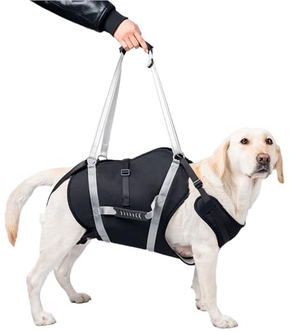 POONGURY Harnais de Levage pour Chien de 20 à 40 kg, Harnais de rééducation avec poignées, Soutien Pattes Avant/arrière pour Chiens âgés, blessés et Post-opératoires