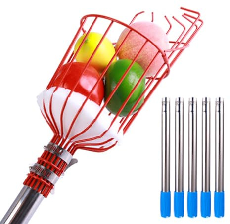 perche de récolte, Cueilleur de fruits avec panier, coussinet protection en mousse, acier inoxydable for pommes, poires, citrons et oranges(2m)