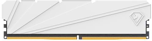 Netac DDR4 8 GB RAM 2 666 MHz dator skrivbordsminne DRAM spelminne 8 GB vit värmeväst, skrivbordsminne vit