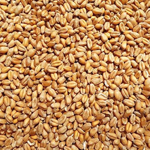 Supravit Weizen Futterweizen - 2,5kg aus regionaler Landwirtschaft - Ideales Einzelfuttermittel für Tauben, Vögel, Nager & Geflügel