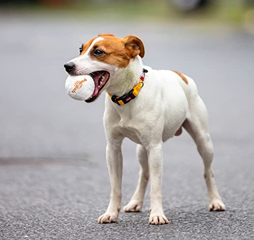 GiGwi Hunde-Ball Pop-pals, aus E-TPU (Infinergy), extrem elastisch und Widerstandsfähig, hält extremen Bedingungen Stand, springt gut, zahnschonend und langlebig, sehr gut für Ballschleuder