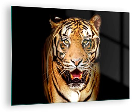 Quadro su Vetro tigre animale Stampe da Parete in Vetro 70x50cm Quadri Moderni Soggiorno Camera da Letto Cucina 1 pezzo Piccoli Decorazione Murale Wall Art Grafica Immagini GAA70x50-4103