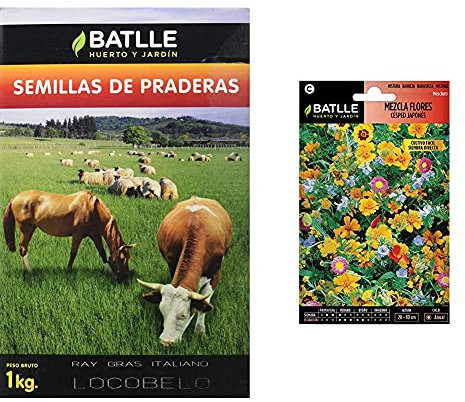Semillas Batlle Semillas De Césped R.G. Italiano Certificado 1Kg + Semillas De Flores Mezcla De Flores Césped Japonés