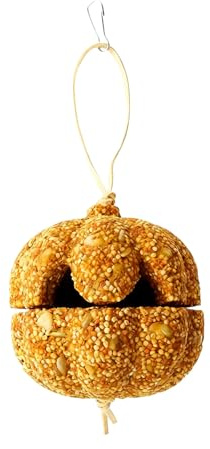 Parakeet Treats - Bird Snack Feeder | Pumpkin Shape Natural Chew Toy, Pet Supplies Treat Toy Cage, Organic Bite Healthy Training Reward, Fun Cage Accessory - Canary Guinea Chinchilla Lovebird Conure