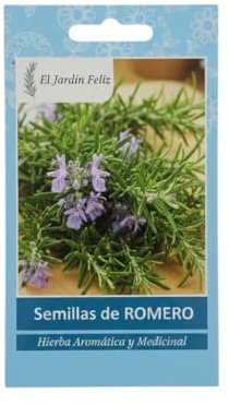 Romero Mediterráneo en Semillas para Cultivar en Casa – Planta Aromática Culinaria con Semillas DECOALIVE