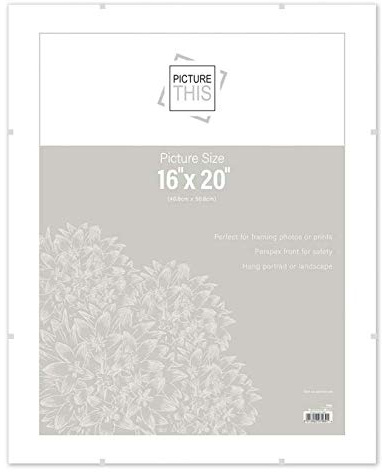 M1SS 16 x 20 Styrene/Plastic Front Frameless Clip Frame Picture Frame Photo Frame Poster Frame For Home, Office Classic Wall Mountable (40.6 x 50.8 CM) (1)
