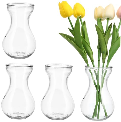 Alipis 4pcs Clear Glass Hyacinth Vase for Office and Home Decoration Indoor Outdoor Planter for Flowers Bulbs and Plant Arrangements Easy Clean Terrarium Container