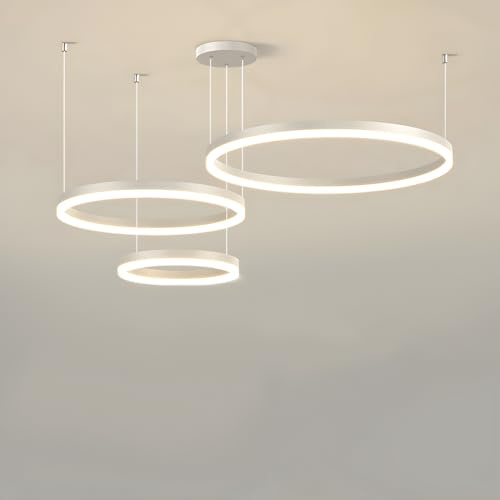 WayLuoung LED Lampadario Metallo | 3 Cerchi 20+40+60cm | 45W Lampada Sospensione Soffitto Anelli, Telecomando Dimmerabile 3000-6000K, Lampada Sospensione Paralume Acrilico Soggiorno Camera【Bianco】