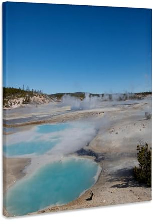 3dRose USA, Wyoming, Yellowstone National Park, Norris Geyser Basin. Museum Grade Canvas Wrap 8x10