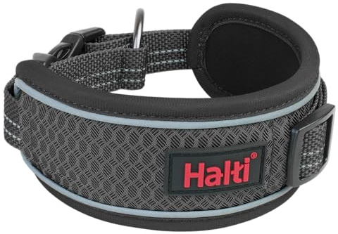 Halti Anatomi Hundhalsband - Bred Halsband Design för Tryckavlastning, Vadderad i Neopren, Reflekterande och Justerbar, Matchande Koppel och Sele, Lämplig för Medelstora Hundar (Storlek M, Grå)