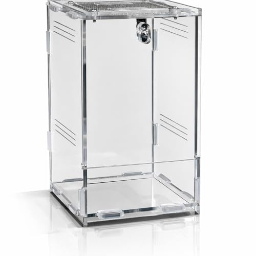 Repto Terra Clear Acrylic Terrarium with Mesh Top & Safety Lock – Compact Reptile & Invertebrate Enclosure, High Clarity, Easy Assembly (11.5 x 10 x 16.5)