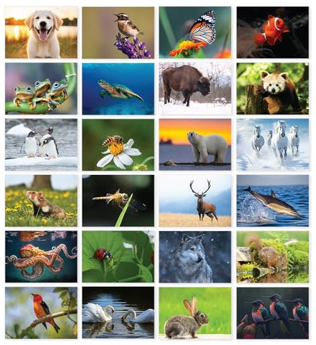 Papa Prints Pack of 24 Wildlife Greeting Cards Blank Greeting Cards (149 x 105 mm) with Envelopes Blank Inside