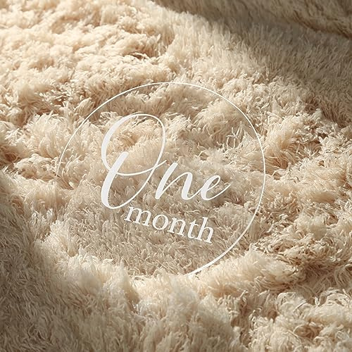 UNIQOOO 13Pcs 4'' Clear Acrylic Monthly Baby Milestone Printed Cards, Photo Props, Round Baby Months Growth Sign for Boy, Girl Photography, One Month to One Year & Hello World Card, New Baby Gifts