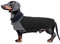 Geyecete Hundemantel Dackel, Dackel Wintermantel, Warmer Quilten Dackelmantel mit Geschirr Loch,Winddicht Rollkragen Hundejacken, Miniatur Dackel Weste für kleine Hunde-Schwarz-M