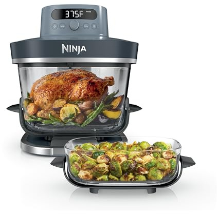 Ninja Crispi Pro 6-in-1 Glass Air Fryer | 450°F, Nontoxic, 6qt & 2.5qt Containers & Lids | Microwave, Freezer, Dishwasher Safe | Max Crisp, Air Fry, Bake, Roast, Recrisp, Dehydrate |Cyberspace AS101CY