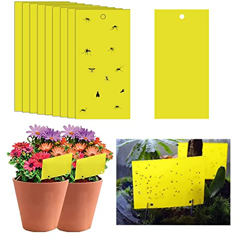 20 st klibbiga flugfällor, 20 x 10 cm gula flugpappersklistermärken, gula klistermärken skyddsväxt, klibbig flugfångare dubbelsidig för insekts- mot svampgnat, vitflugor, bladlöss