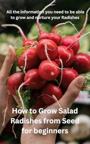 HOW TO GROW SALAD RADISHES FROM SEED FOR BEGINNERS: Whether you have a spacious garden or a small balcony, growing radishes is a delightful way to bring fresh, crisp flavour to your kitchen table.