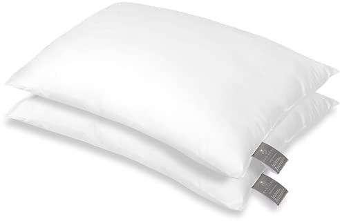 FAM HOME Cuscino da Letto Coppia 40x60 cm I Cuscini Letto Morbido In Microfibra Anallergico Lavabile I Adatto Per Dormire In Tutte Le Posizioni I 2 Pezzi