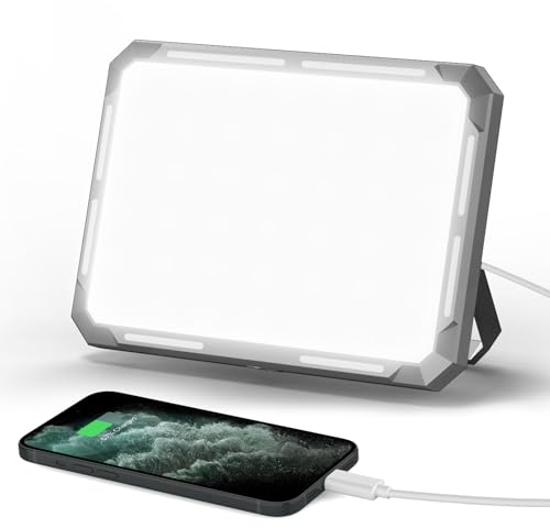 Olycism LED Lampada da Campeggio Ricaricabile Multifunzionale 4000mah Power Bank con 7 modalità di illuminazione e regolazione continua della luminosità per illuminazione da campeggio e SOS