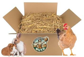 Paglia d'orzo 3 kg - per conigli, porcellini d'India, cavalli | Qualità premium | Raccolto 2025
