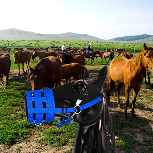 Acouto Horse de Pastoreo de Pastoreo Comfort Confort Floury Waffle Nylon Equipador Equestrian con Gancho y Sujetador Halter Caballo de Pastoreo Muzzlenylon Equipo Ecuestre Equipador Equipador de