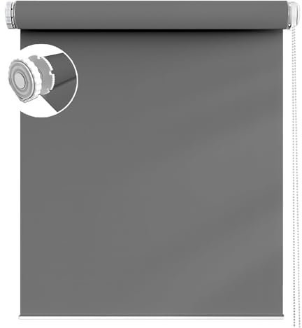 Estor Noche y Día, Estor Enrollable 100 x 240 cm Fácil de Instalar sin Herramientas Estor Enrollable Screen con Cadena, para Ventanas y Puertas de balcón, Gris Oscuro