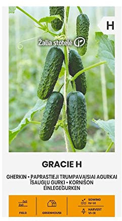 Zalia stotele | SOTTACETI GRACIE H da semi | Semi di Cetriolini | Semi di ortaggi | Semi di piante | Semi da giardino | 1 pacchetto