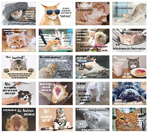 Edition Seidel Set de 20 tarjetas postales con divertidos refranes – Tarjetas con texto – gatos locos – cumpleaños – motivación (20 tarjetas)