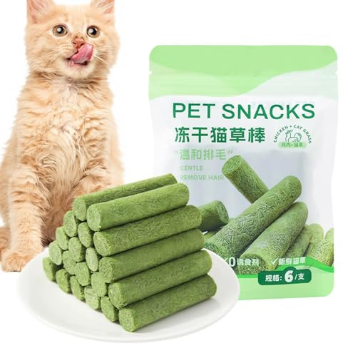 HonJiekomy Kattgräs tandpinne, 2 x 6 st naturligt kattgräs tuggpinnar, katttänder rengöring gräspinnar, naturliga tänder hälsa tuggleksaker för att öka aptiten, ta bort hårbollar, rengör katttänder