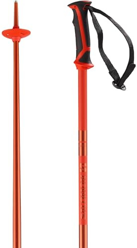 Salomon Arctic skidstavar 120 cm aluminium unisex