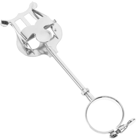 Healeved Letturino Clarinetto Sib Portatile in Ferro Argento, Supporto Spartiti per Clarinetto Semplice e Facile da Trasportare