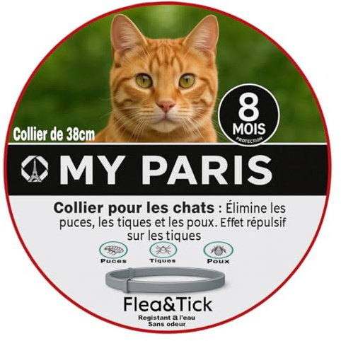 My Paris - Collier Anti-puces, Tique et poux pour Chat et Petit Chien Protection 8 Mois, Naturel, Gris, sans Odeur