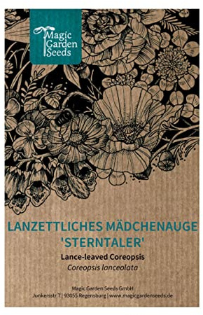 Lanceolate maidenhair 'Sterntaler' (Coreopsis lanceolata) aprox. 50 semillas de plantas herbáceas perennes para parterre jardín de casa de campo jardín de pradera flor cortada