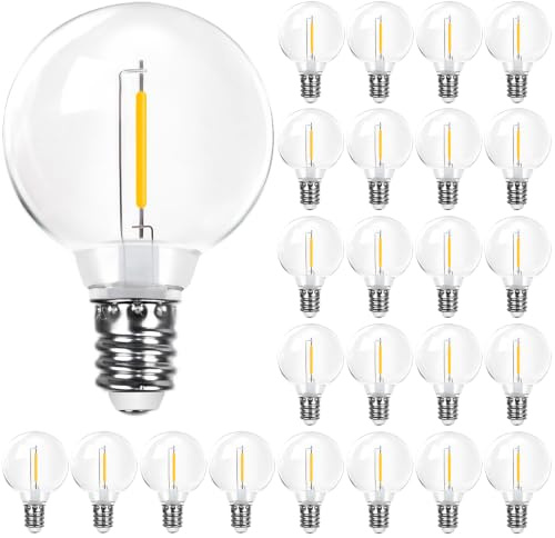 ROMANJOY Bombillas LED G40 para Guirnaldas Baja Tensión 24V y Solares, Casquillo E12 1W Luz Cálida 2700K, Iluminación IP44 Pack 25