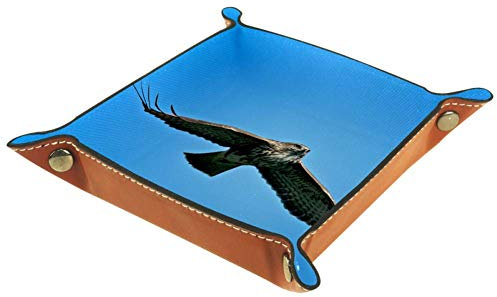 EZIOLY Aufbewahrungsablett aus Mikrofaser-Leder mit Adler im Himmel, für den Schreibtisch, für Geldbörse, Schlüssel, Uhren, Telefon, Schmuck, etc, 20,5 x 20,5 cm, Multi, 16 x 16 cm