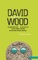 Wood Plays: 1: The Gingerbread Man; The See-Saw Tree; The Ideal Gnome Expedition; Mother Goose's Golden Christmas: v.1 (Contemporary Dramatists)