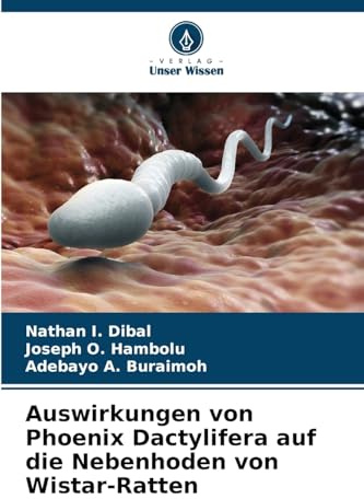 Auswirkungen von Phoenix Dactylifera auf die Nebenhoden von Wistar-Ratten