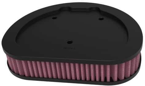K&N Engine Air Filter: High Performance, Powersport Air Filter, HD-1508