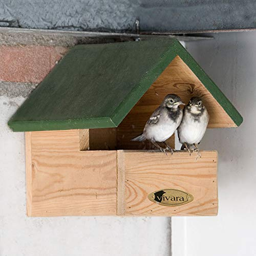 CJ Wildlife Nichoir Oiseaux Exterieur – Cabane Oiseaux Exterieur – Bois FSC® 100% Vert/Marron – pour Merles – Protection Pluie