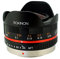 Rokinon FE75MFT-B - Lente Ojo de pez de 7,5 mm F3.5 UMC para Micro Cuatro Tercios (Olympus Pen y Panasonic), Color Negro