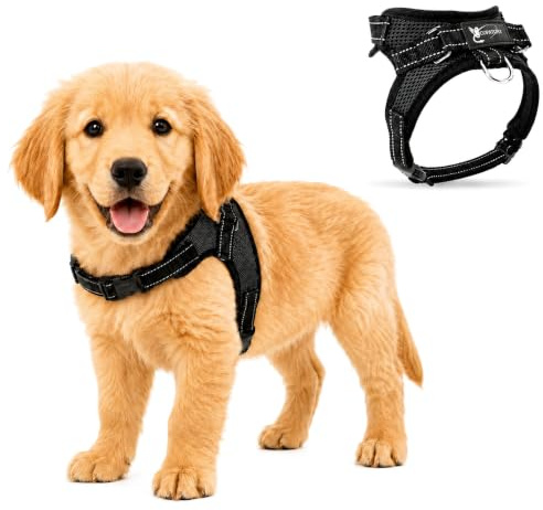 Copatchy No Pull Reflective Adjustable Dog Harness with Handle- Comfortable Soft All Weather Mesh, Easy On Puppy Harness for Small Medium and Large Dogs (Black) Small