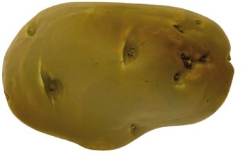 Cks Brosse De Pommes De Terre Idéal Pour Des Pommes De Lavage Et Légumes