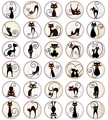 MORCART Cat Magnets for Fridge Refrigerator Locker Cute Funny Magnets Kitchen School Cabinets Classroom Whiteboard Office Cubicle Magnetic Board Decorative Magnets Gifts for Adults Kids