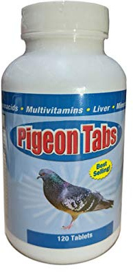 Pigeon Tabs