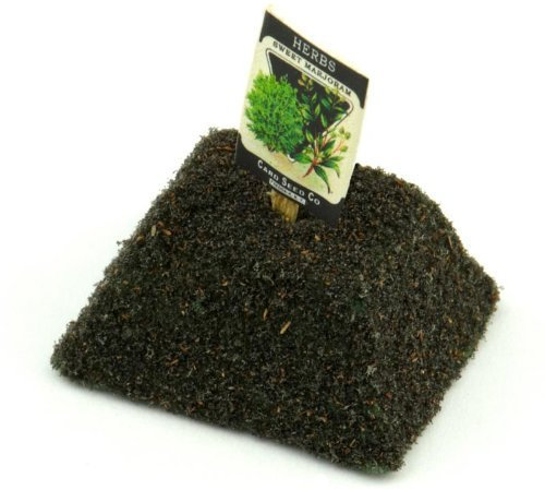 MyTinyWorld Dolls House Miniature Sweet Marjoram Seed Packet With A Stick