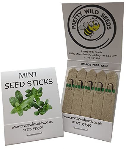 Herbs Seed Sticks Matchstick Packets Made with Real Herb Seeds Birthday Party Bag Fillers Promotional Items Giveaways (Mint, 5 Packets)