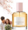 New Honey Infused Hair Perfume,Long Lasting Perfumes,Perfume for Hair with Notes of Sweet Honey,Hair&Body Fragrance Mist,Long-lasting Fragrance for Women,Long Duration Fragrance,Fruity Body Spray
